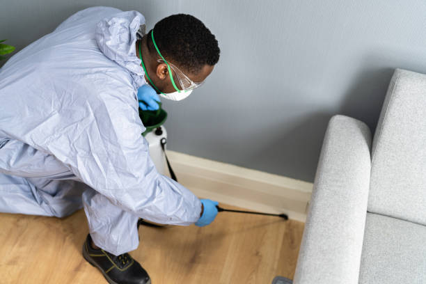 Best Fumigation Services  in Gnadenhutten, OH